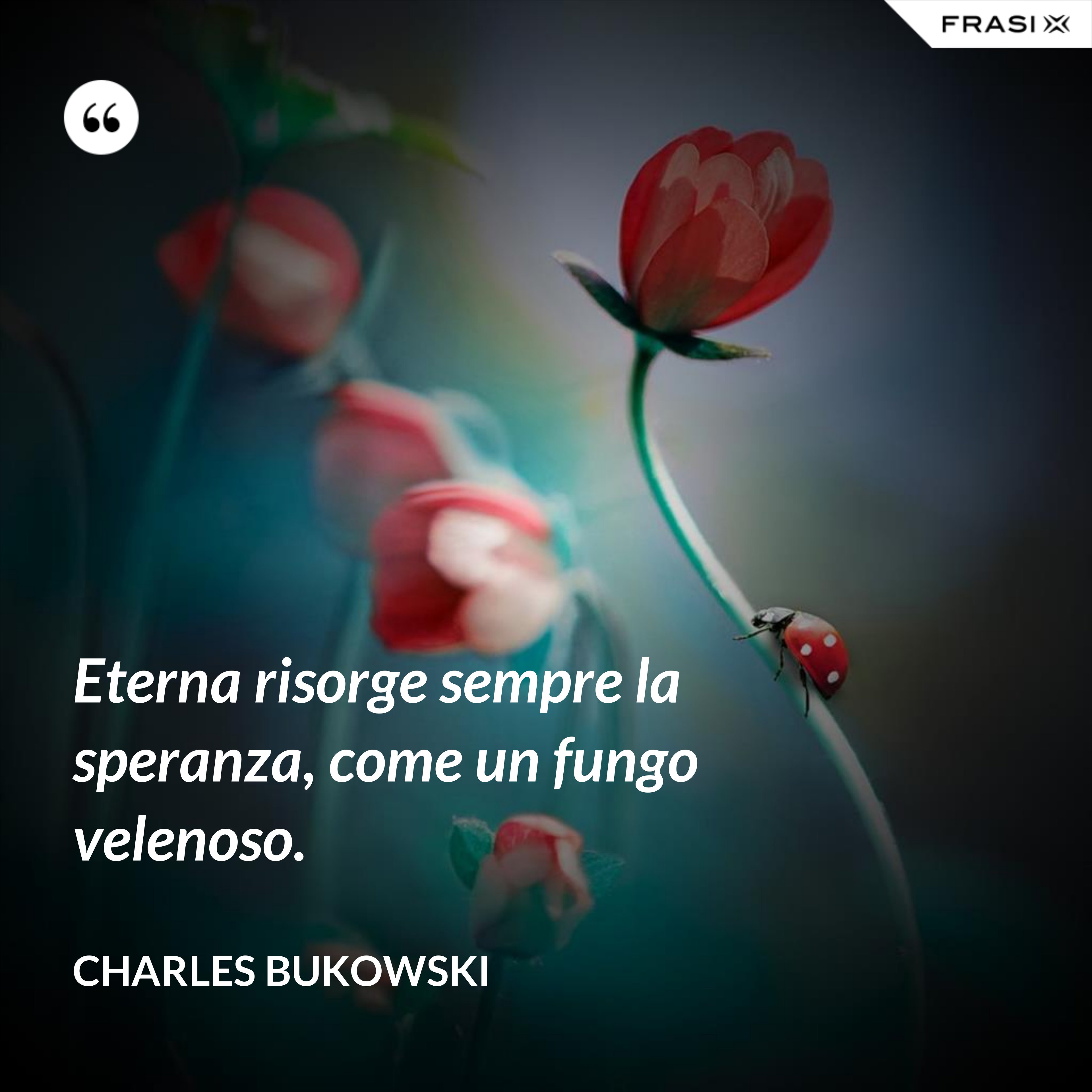 Eterna risorge sempre la speranza, come un fungo velenoso. - Charles Bukowski