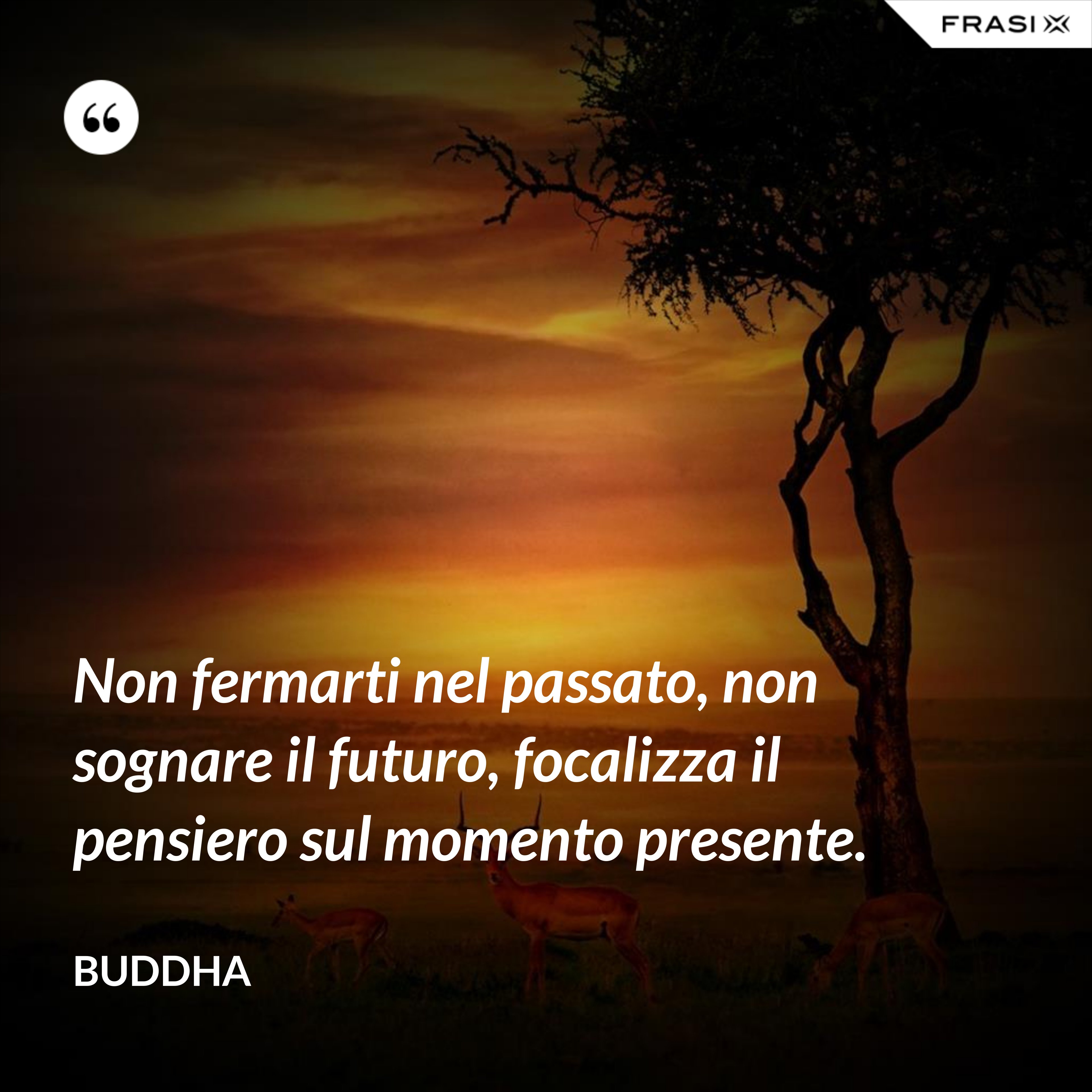 Non fermarti nel passato, non sognare il futuro, focalizza il pensiero sul momento presente. - Buddha