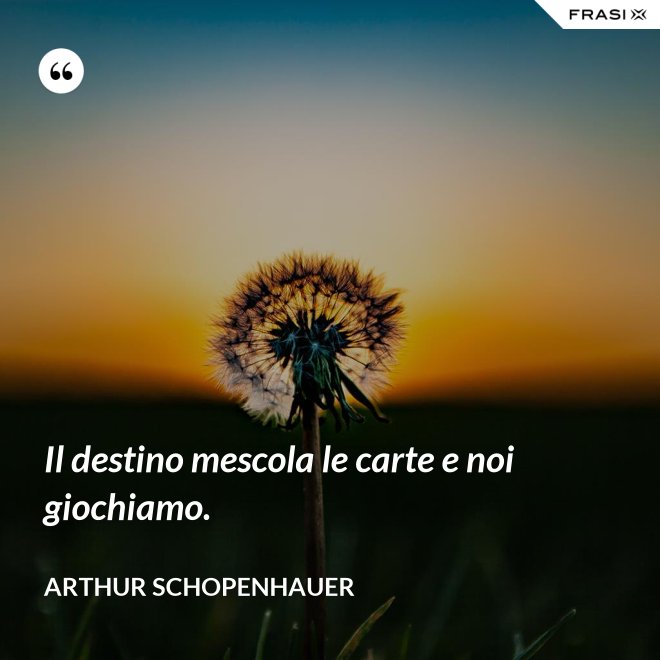 Il destino mescola le carte e noi giochiamo. - Arthur Schopenhauer