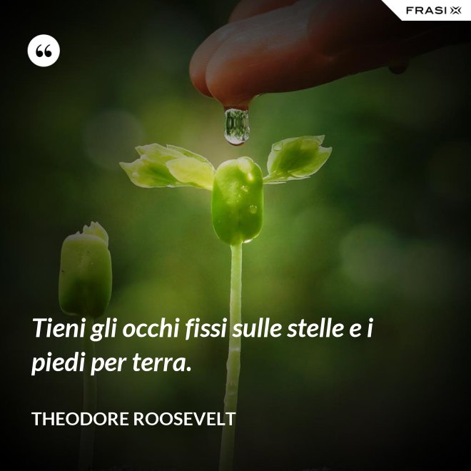 Tieni gli occhi fissi sulle stelle e i piedi per terra. - Theodore Roosevelt