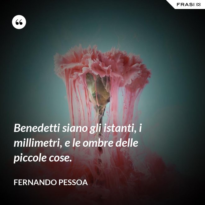 Benedetti siano gli istanti, i millimetri, e le ombre delle piccole cose. - Fernando Pessoa