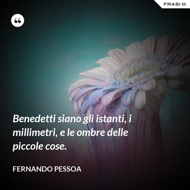Benedetti siano gli istanti, i millimetri, e le ombre delle piccole cose. - Fernando Pessoa