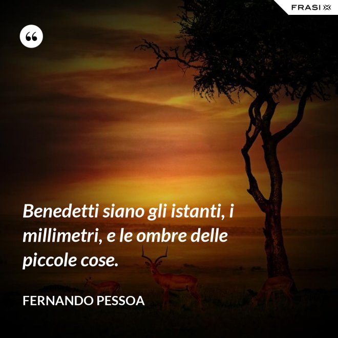 Benedetti siano gli istanti, i millimetri, e le ombre delle piccole cose. - Fernando Pessoa