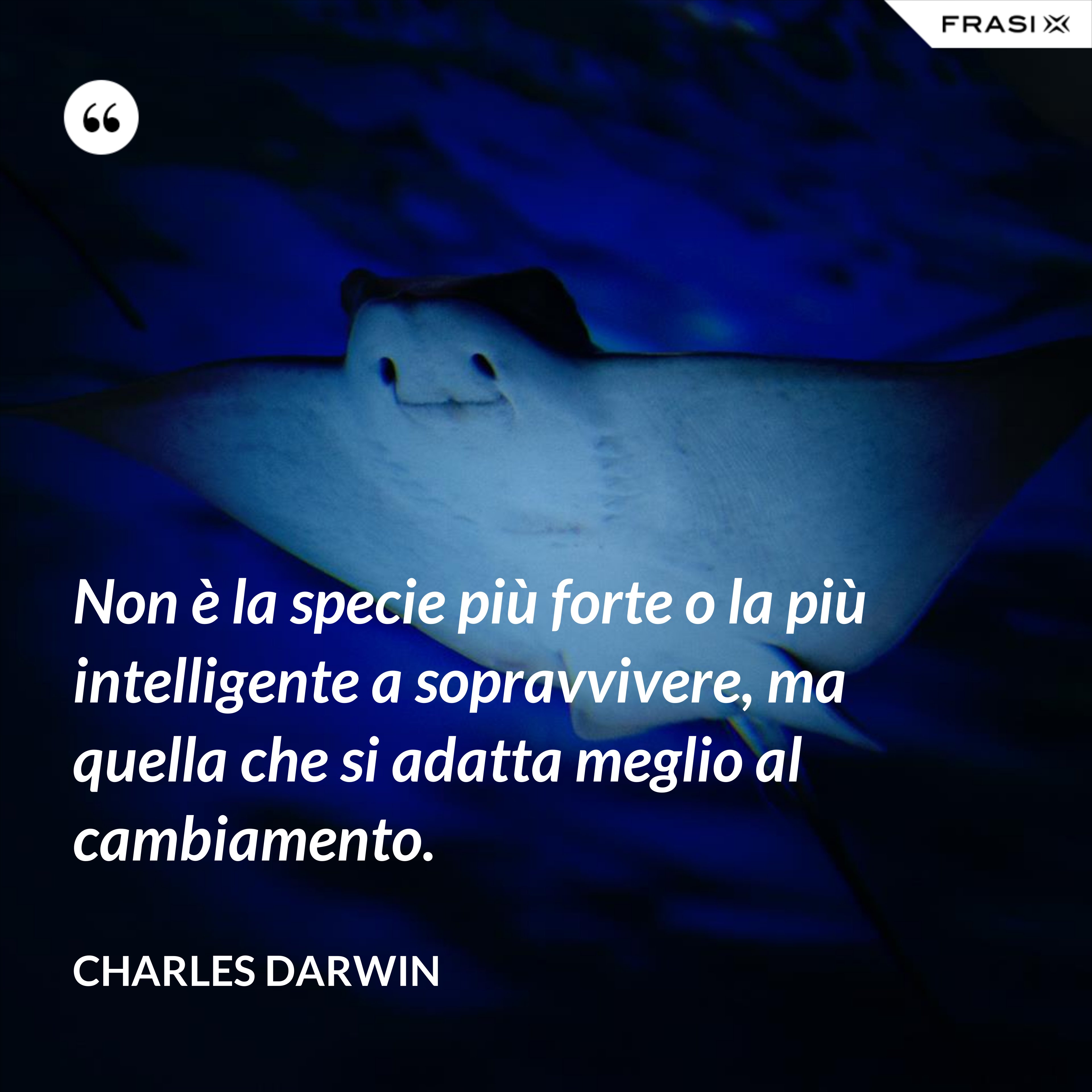 Non è la specie più forte o la più intelligente a sopravvivere, ma quella che si adatta meglio al cambiamento. - Charles Darwin