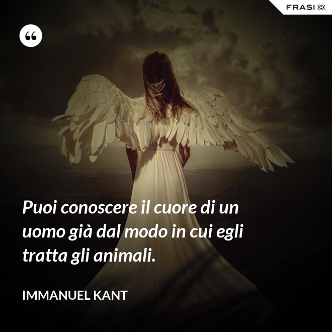 Puoi conoscere il cuore di un uomo già dal modo in cui egli tratta gli animali. - Immanuel Kant