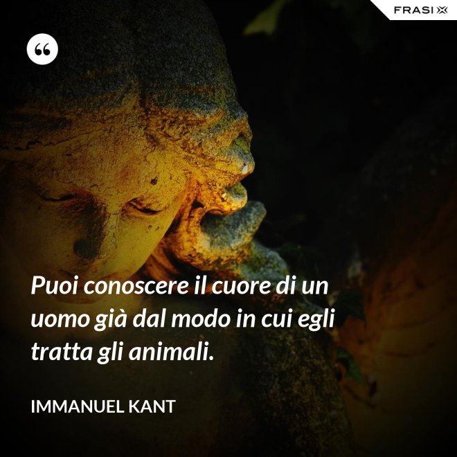Puoi conoscere il cuore di un uomo già dal modo in cui egli tratta gli animali. - Immanuel Kant