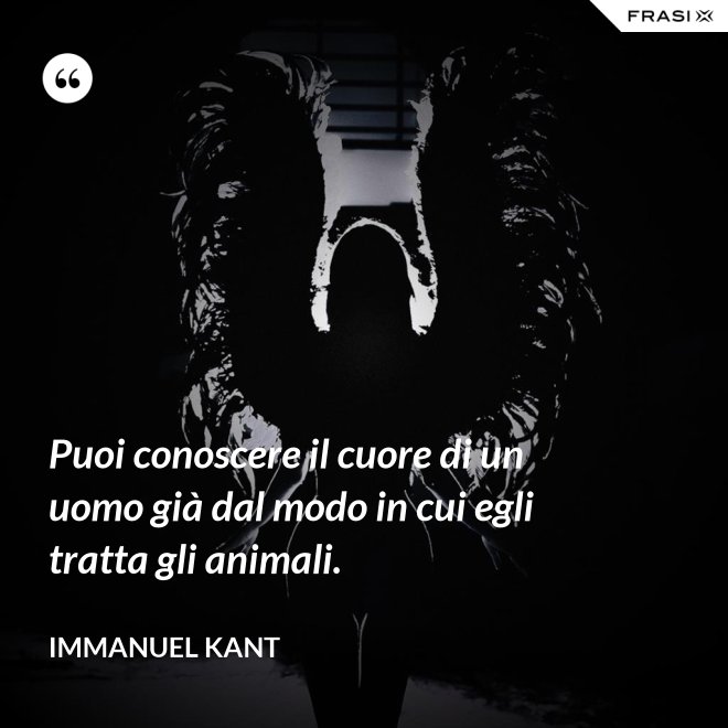Puoi conoscere il cuore di un uomo già dal modo in cui egli tratta gli animali. - Immanuel Kant