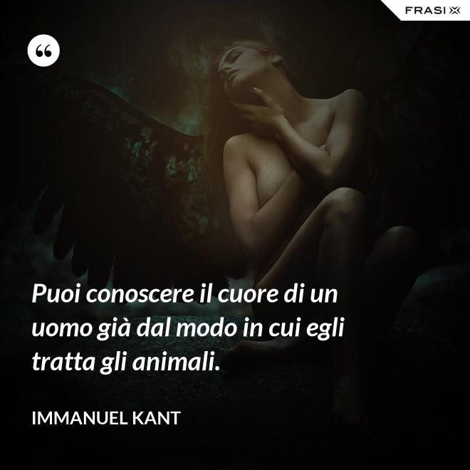 Puoi conoscere il cuore di un uomo già dal modo in cui egli tratta gli animali. - Immanuel Kant