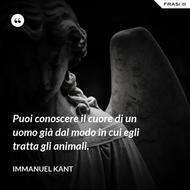 Puoi conoscere il cuore di un uomo già dal modo in cui egli tratta gli animali. - Immanuel Kant