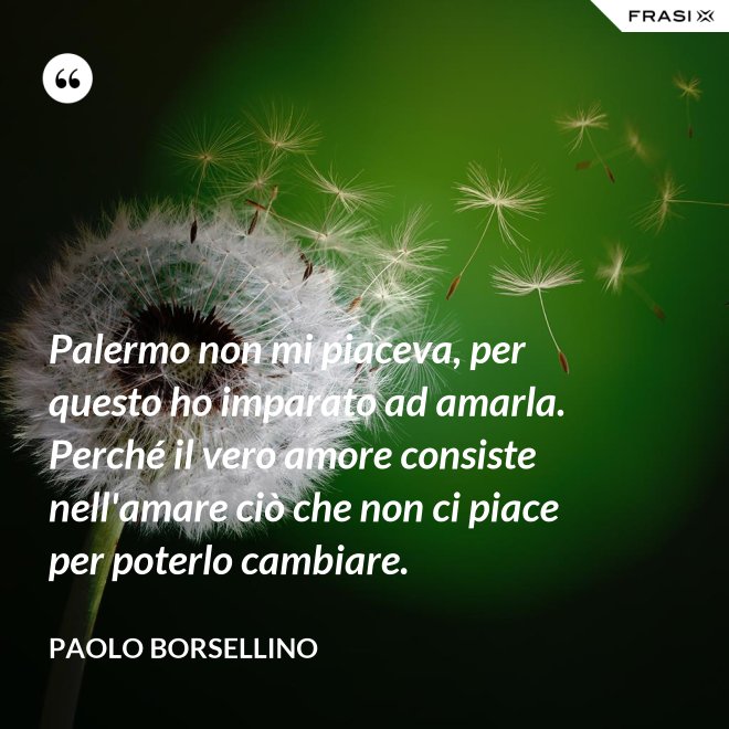 Palermo non mi piaceva, per questo ho imparato ad amarla. Perché il vero amore consiste nell'amare ciò che non ci piace per poterlo cambiare. - Paolo Borsellino