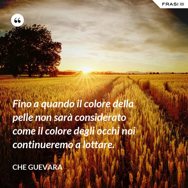 Fino a quando il colore della pelle non sarà considerato come il colore degli occhi noi continueremo a lottare. - Che Guevara