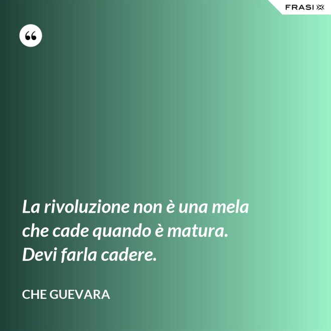 La rivoluzione non è una mela che cade quando è matura. Devi farla cadere. - Che Guevara
