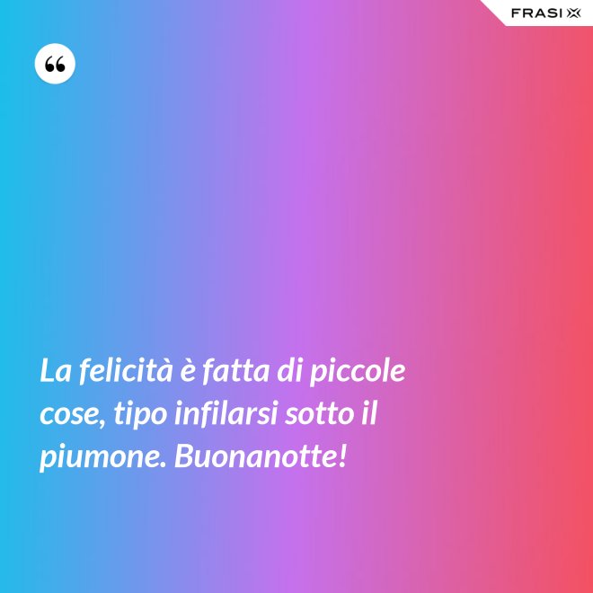 La felicità è fatta di piccole cose, tipo infilarsi sotto il piumone. Buonanotte! - Anonimo