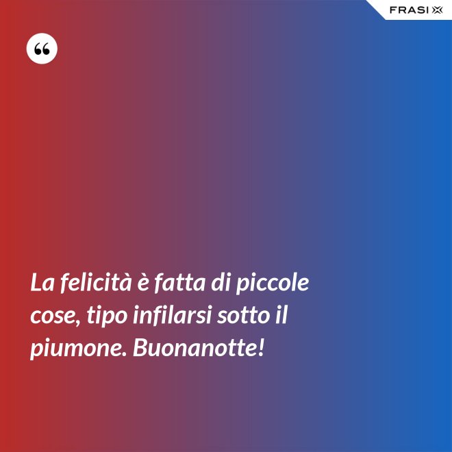 La felicità è fatta di piccole cose, tipo infilarsi sotto il piumone. Buonanotte! - Anonimo