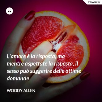 L'amore è la risposta, ma mentre aspettate la risposta, il sesso può suggerire delle ottime domande - Woody Allen