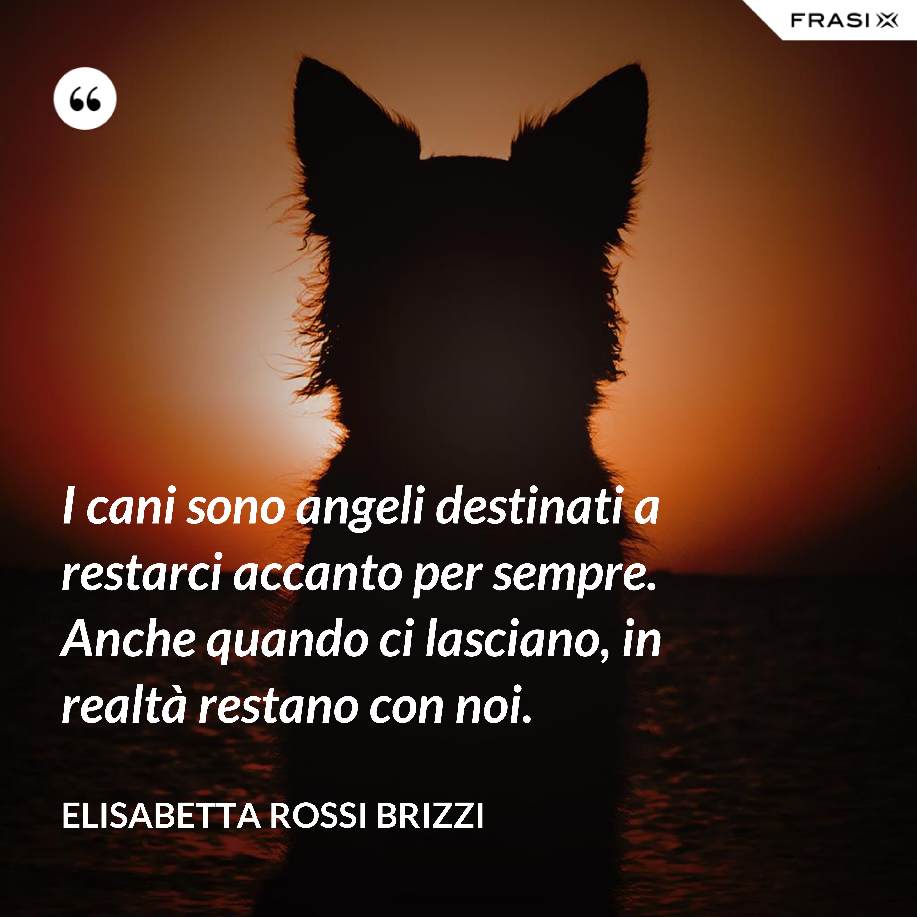 I cani sono angeli destinati a restarci accanto per sempre. Anche quando ci lasciano, in realtà restano con noi. - Elisabetta Rossi Brizzi