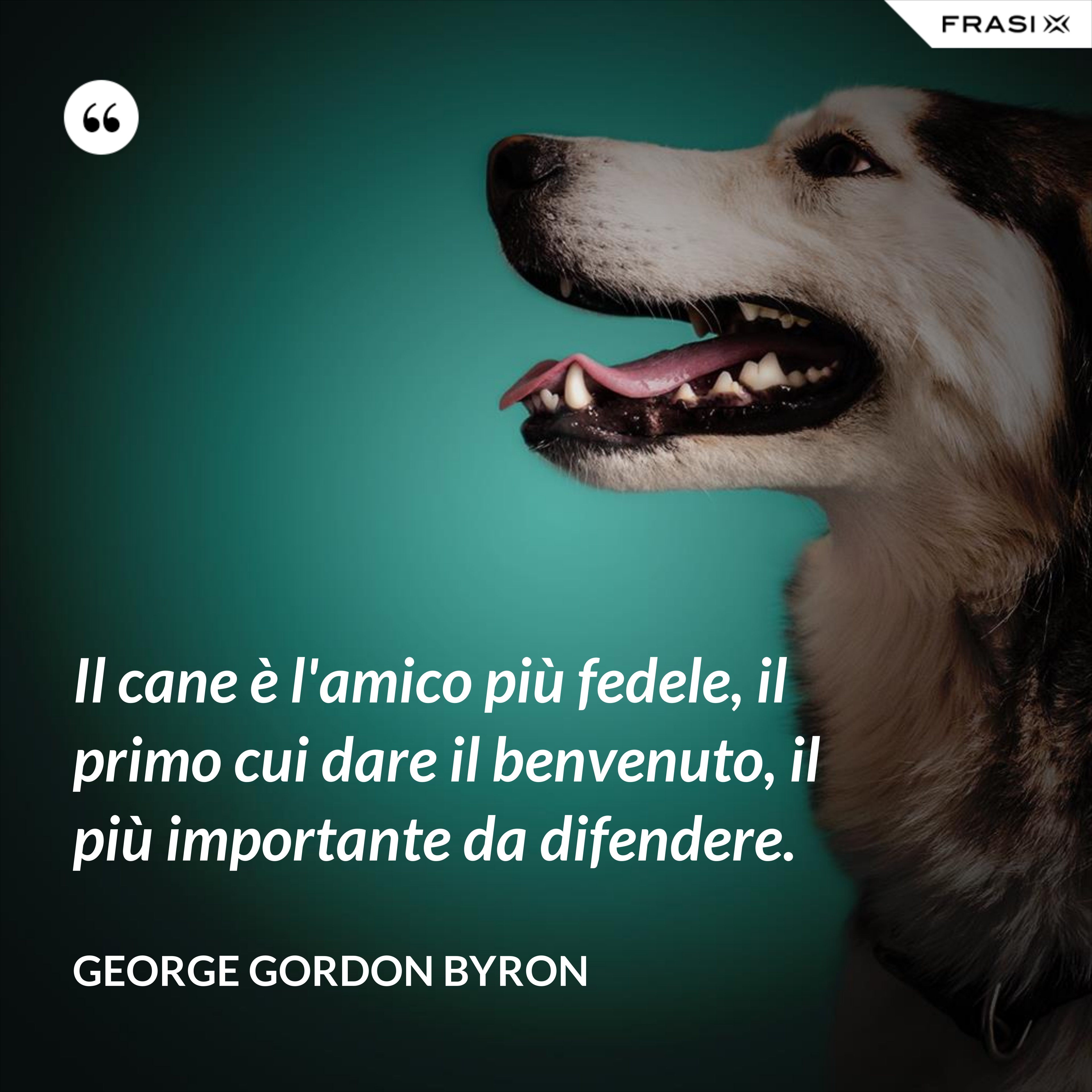 Il cane è l'amico più fedele, il primo cui dare il benvenuto, il più importante da difendere. - George Gordon Byron