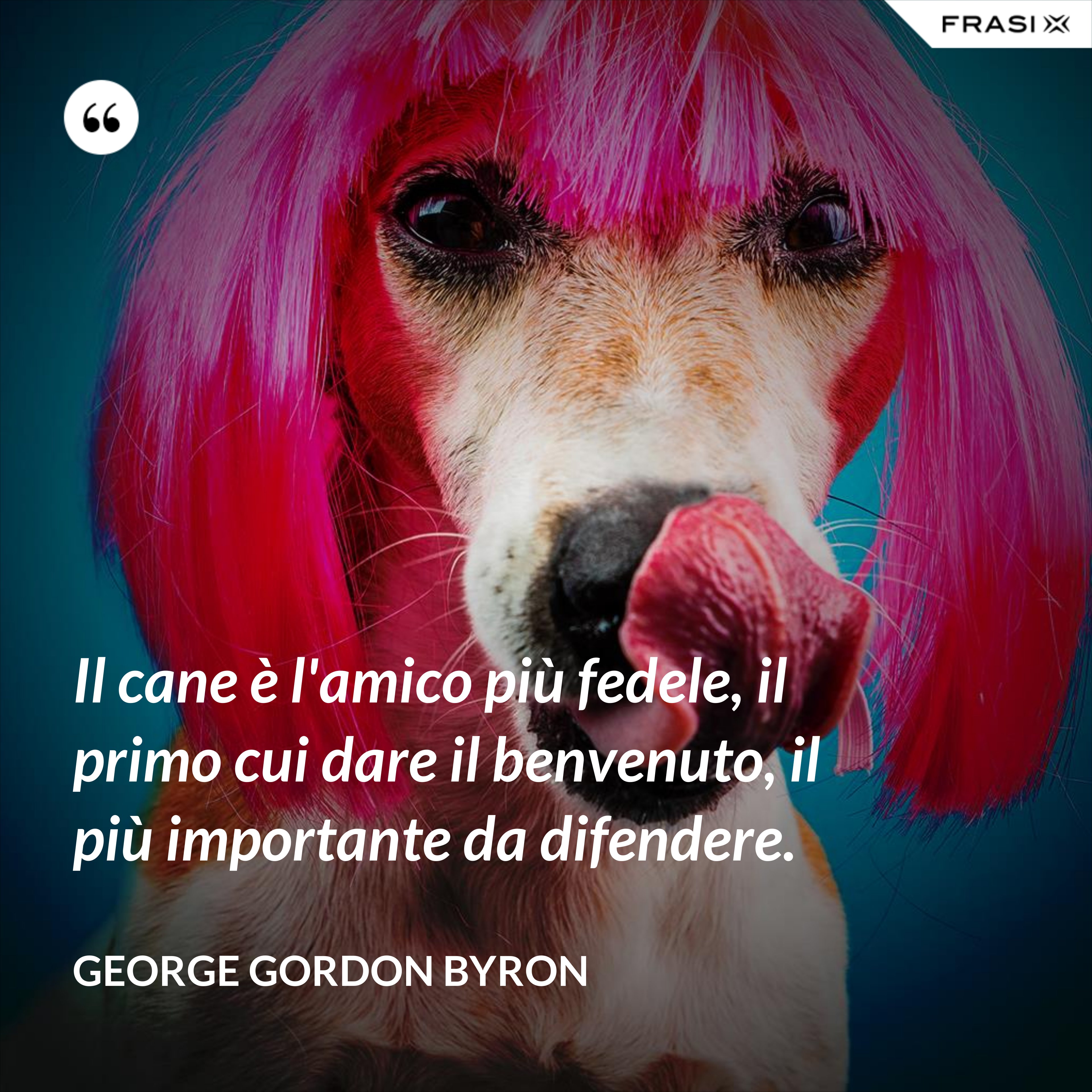 Il cane è l'amico più fedele, il primo cui dare il benvenuto, il più importante da difendere. - George Gordon Byron
