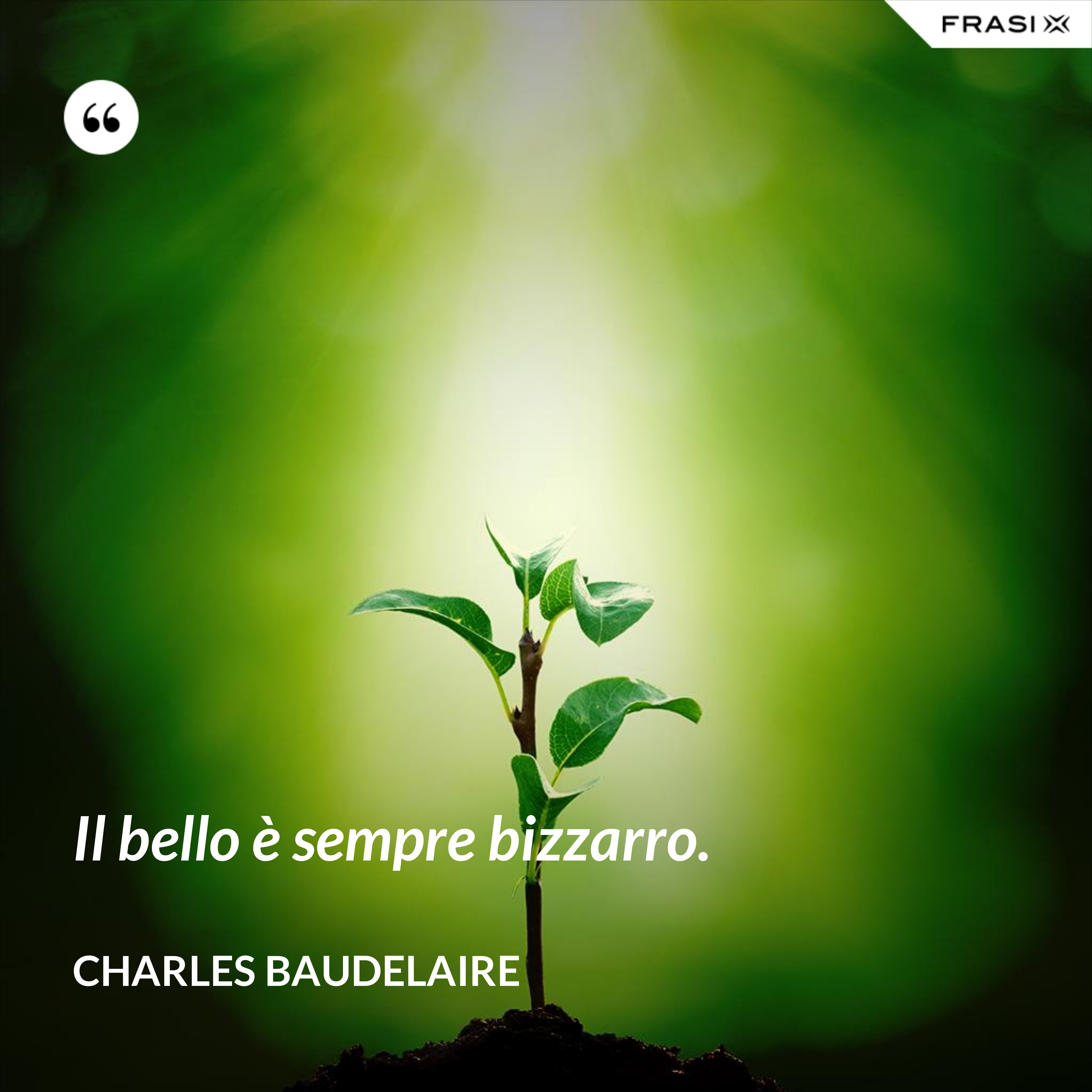 Il bello è sempre bizzarro. - Charles Baudelaire