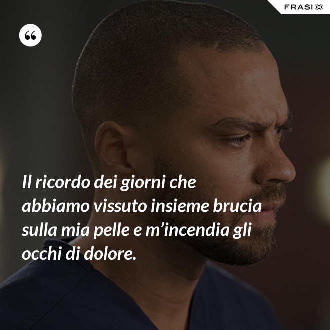 Il ricordo dei giorni che abbiamo vissuto insieme brucia sulla mia pelle e m’incendia gli occhi di dolore. - Anonimo