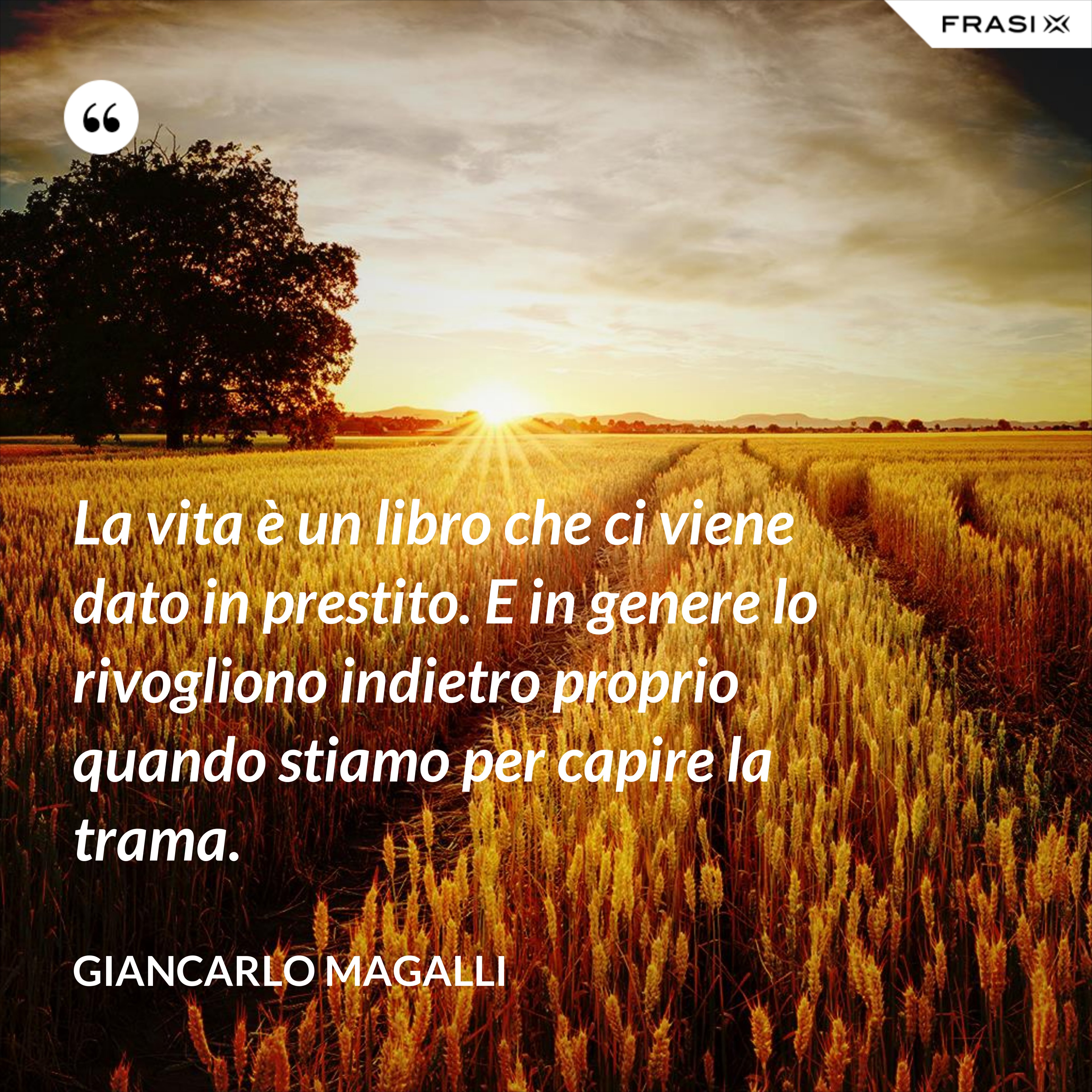 La vita è un libro che ci viene dato in prestito. E in genere lo rivogliono indietro proprio quando stiamo per capire la trama. - Giancarlo Magalli