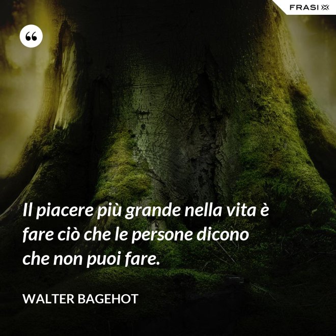 Il piacere più grande nella vita è fare ciò che le persone dicono che non puoi fare. - Walter Bagehot