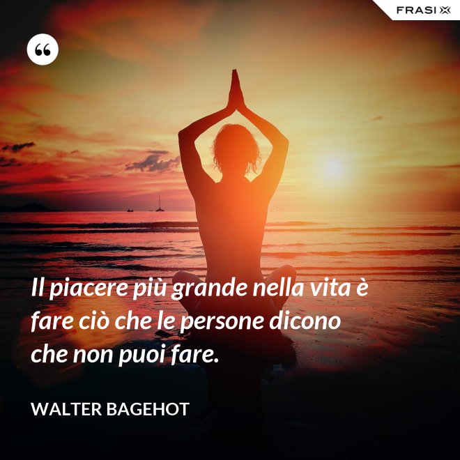 Il piacere più grande nella vita è fare ciò che le persone dicono che non puoi fare. - Walter Bagehot