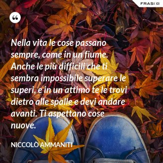 Nella vita le cose passano sempre, come in un fiume. Anche le più difficili che ti sembra impossibile superare le superi, e in un attimo te le trovi dietro alle spalle e devi andare avanti. Ti aspettano cose nuove. - Niccolò Ammaniti