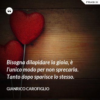 Bisogna dilapidare la gioia, è l’unico modo per non sprecarla. Tanto dopo sparisce lo stesso. - Gianrico Carofiglio
