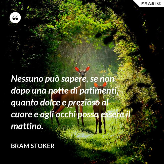 Nessuno può sapere, se non dopo una notte di patimenti, quanto dolce e prezioso al cuore e agli occhi possa essere il mattino. - Bram Stoker